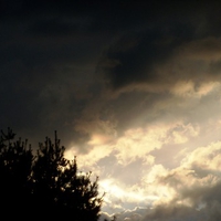 the Beauty of nature