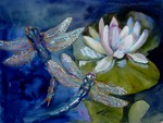 Twin Dragonflies