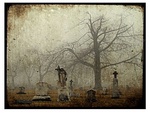 Foggy Cemetery~