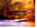 River autumn