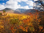 Fall in the Smokies~