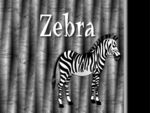 Zebra Pen
