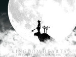 kingdom hearts sora