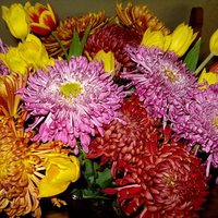 Fall flowers