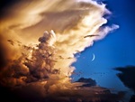 Clouds, Birds, Venus, Moon