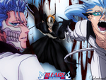 Ichigo and Grimmjow
