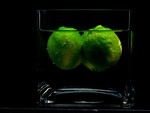 Green Lemons