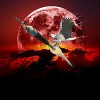 With wings as egales