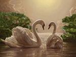 Swans