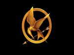 The Hunger Games - Mockingjay Pin