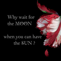 Twilight - why wait for the moon