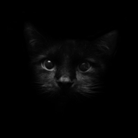 Black Cat
