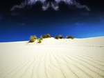 White Desert Sand