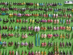 Earrings-for-sale
