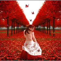 BUTTERFLY RED