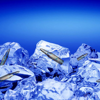 Ice Bullets