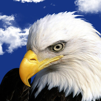 Eagle