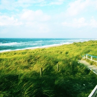Green Way to the Blue Water