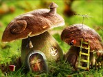 mushroom houses