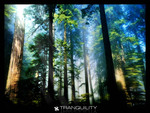 Tranquility