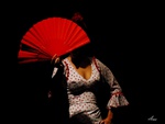 Flamenco Passion