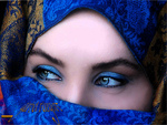 Royal Blue Veil