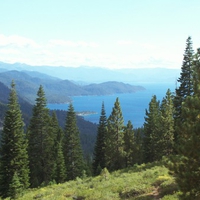 Lake Tahoe View