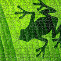 Frog Puzzle