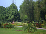 park