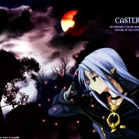 Caster 25864