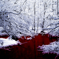 Blood River