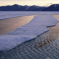 Arctic Waters Baffin Island Canada