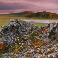 Arctic Coastal Plains Top of Engigstciak Ivvavik National Park Yukon Canada