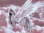 pegasus