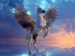 Pegasus in the Sky