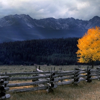 FENCE FOR BEAUTIFUL NATURE