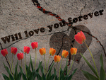 Will love you forever