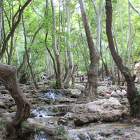 Iran,Shiraz,Lost Heaven