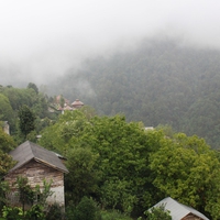 Iran,Gilan,Chaboksar,Sarve lat