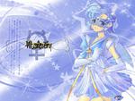 Sailor Mercury