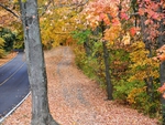 Quiet path in the Fall!