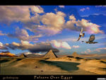 Falcons Over Egypt