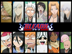 Bleach Soul Society
