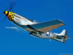 P-51 MUSTANG