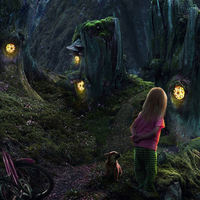 Fantasy Forest