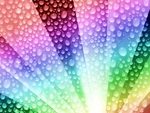 Rainbow Drops