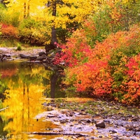 Truckee River During Autumn