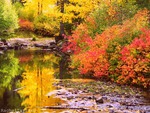 Truckee River During Autumn