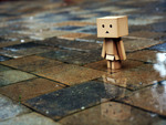 Danbo In The Street