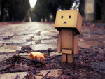 Danbo And a Leaf